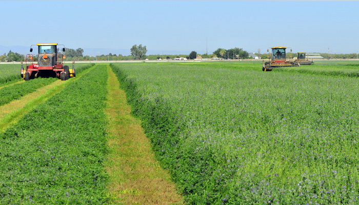 Sustainable Groundwater Management Act