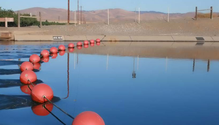 Orestimba Creek Recharge and Recovery Project