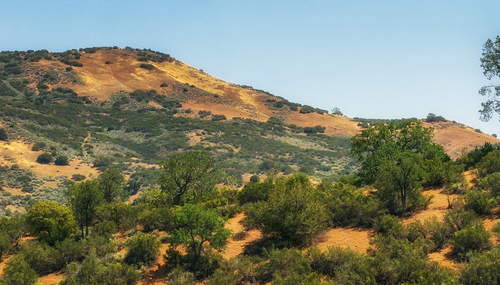 Del Puerto Canyon Reservoir Project