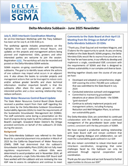 Delta-Mendota SGMA Newsletter June 2025